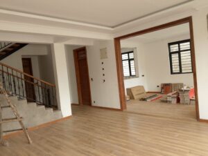 modern Kenyan architecture